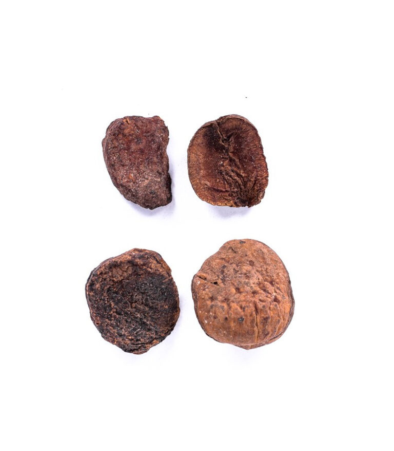 Cola Nuts Whole