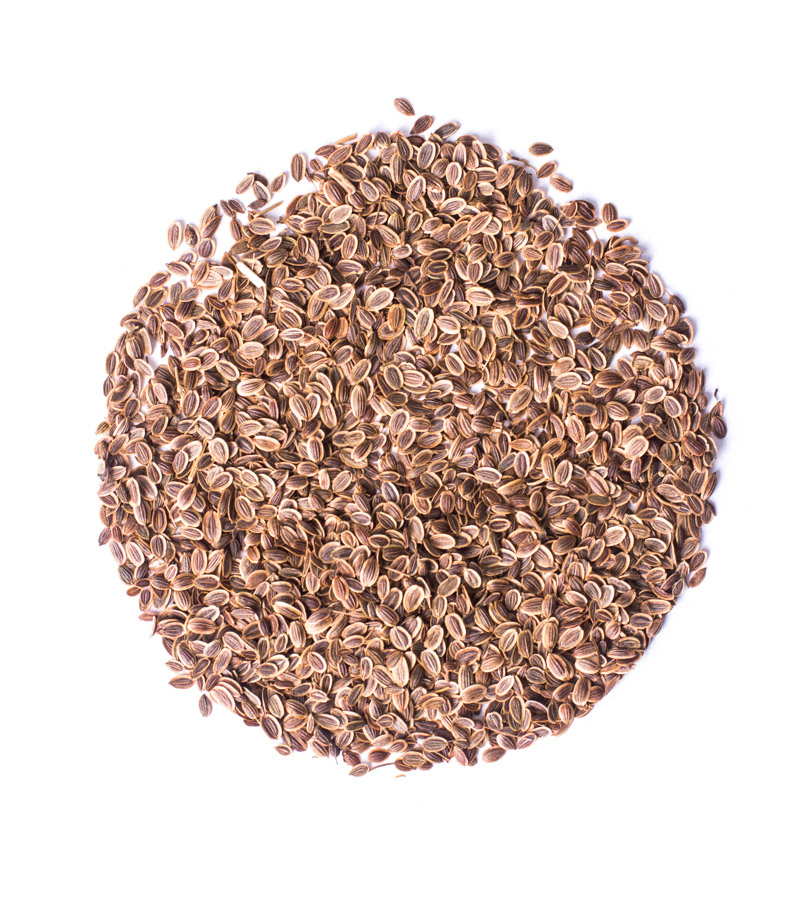 Dill Seeds Whole