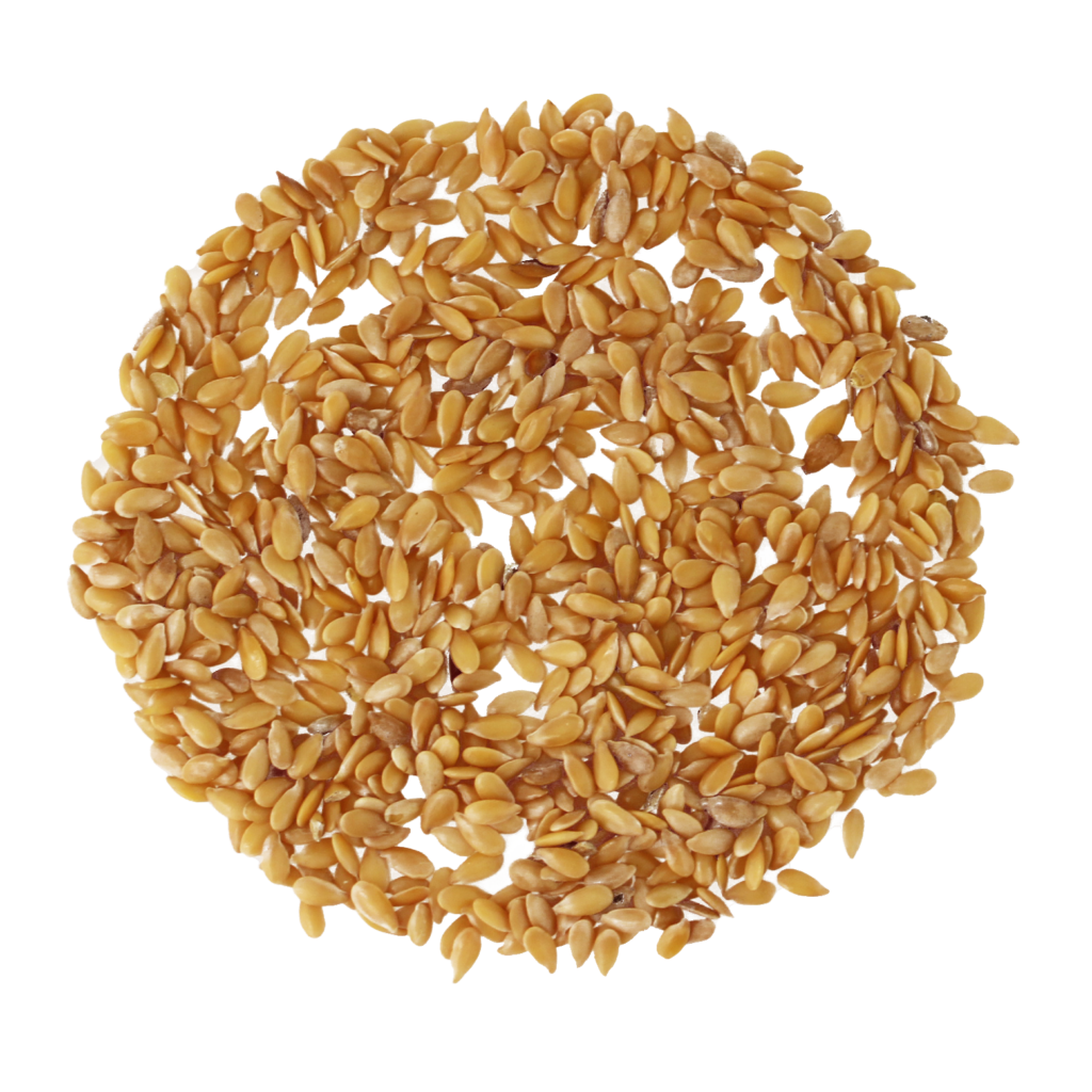 Golden Linseed Whole
