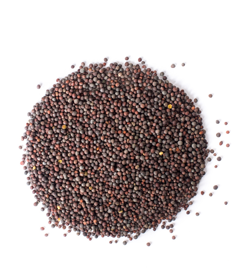 Mustard Brown Seeds Whole