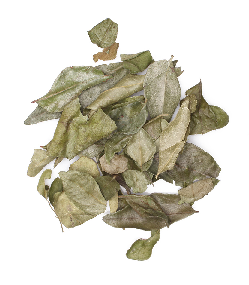 Curry Leaves Whole
